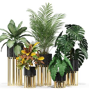 3D model Plants collection 607
