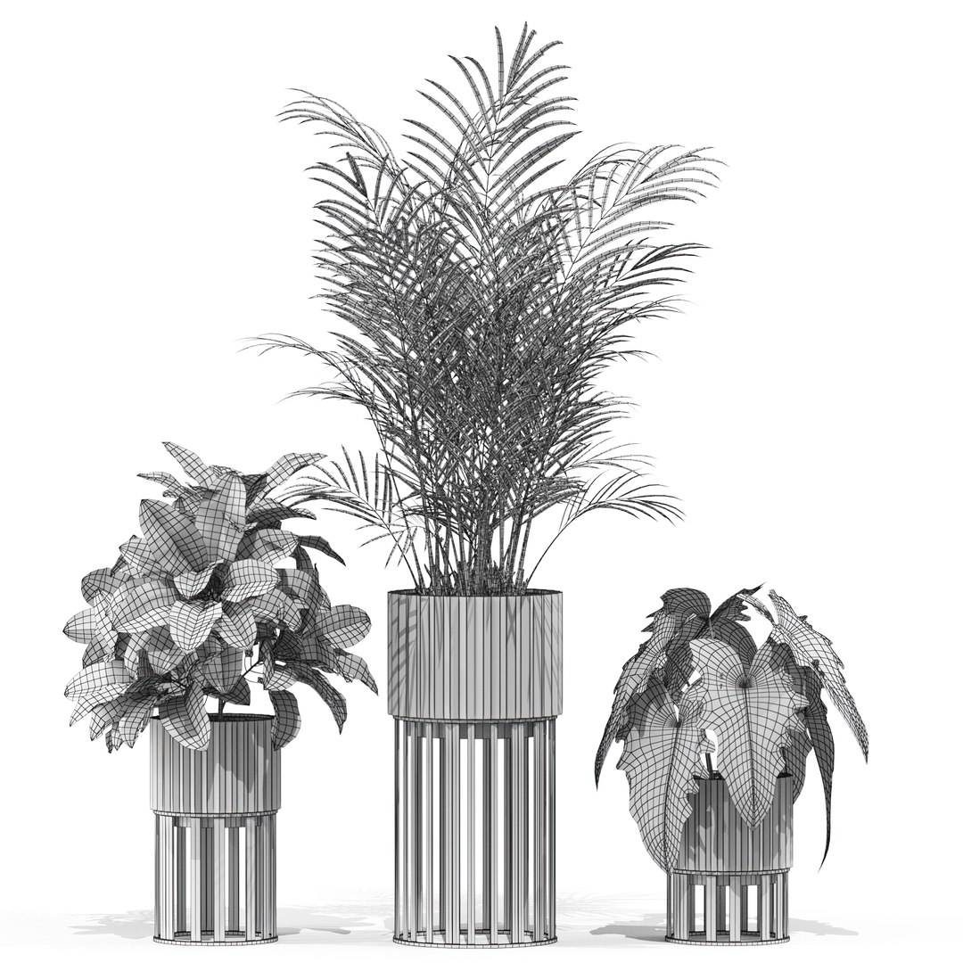 3D model Plants collection 607 https://p.turbosquid.com/ts-thumb/bE/iZOJyu/nG/plant_607_04.rgb_color1920width1920px/jpg/1645944364/1920x1080/fit_q87/0b4915778494907349745924649e28a497f32bd8/plant_607_04.rgb_color1920width1920px.jpg