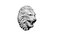 Lion Head Sculpt