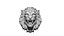 Lion Head Sculpt