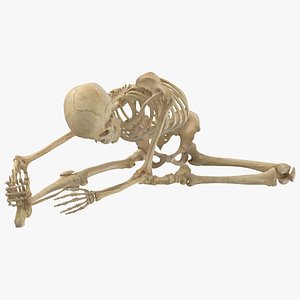 3D model Real Human Female Skeleton Pose 109