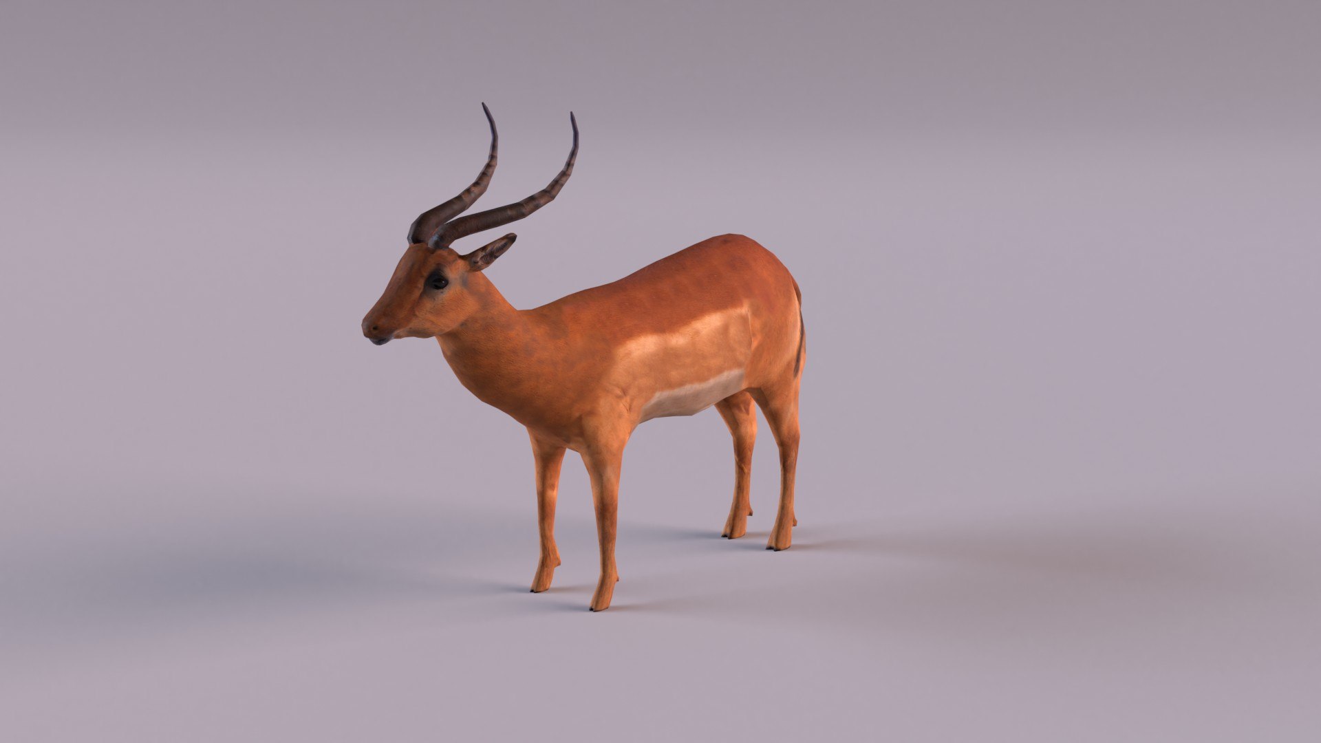 Antelope model https://p.turbosquid.com/ts-thumb/bE/rXuoWJ/6F/antelope_0002/jpg/1627232170/1920x1080/fit_q87/3a38678db786cd0617f45bfe4d57493df21f69e2/antelope_0002.jpg