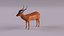 Antelope