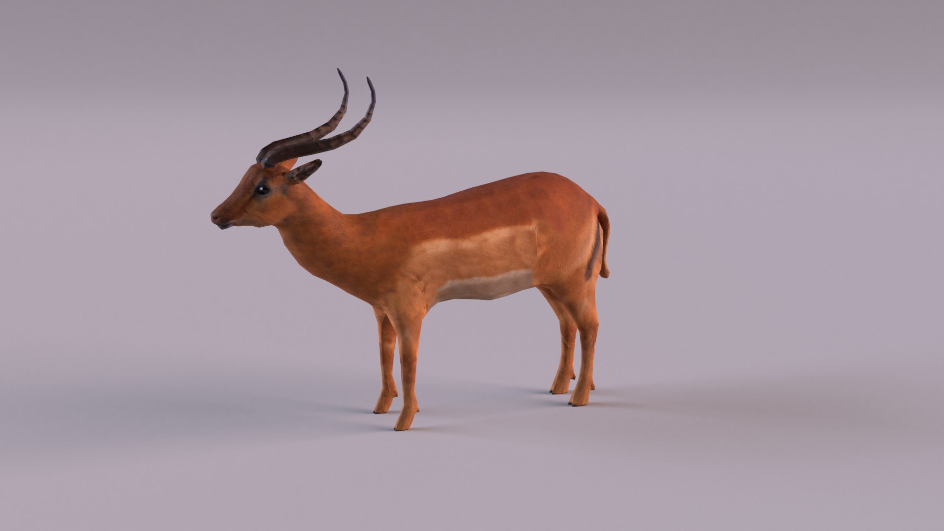 Antelope model https://p.turbosquid.com/ts-thumb/bE/rXuoWJ/HI/antelope_0012/jpg/1627232173/1920x1080/fit_q87/33ab6d13463d33ab3b8ca55c876a6e75cf81c3b2/antelope_0012.jpg