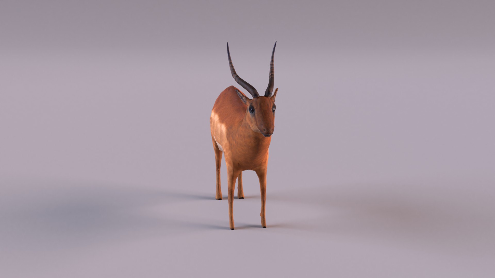 Antelope model https://p.turbosquid.com/ts-thumb/bE/rXuoWJ/Y3/antelope_0004/jpg/1627232171/1920x1080/fit_q87/780909283835b3fdc385301b7ced7e55448d7f47/antelope_0004.jpg