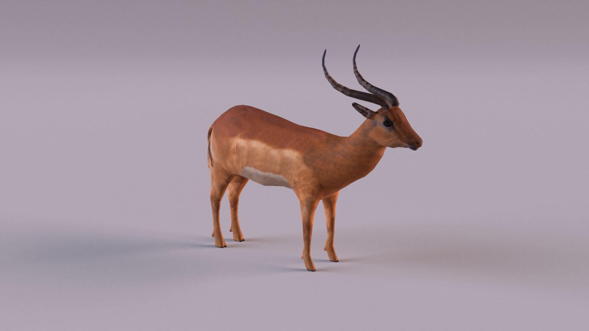 Antelope model https://p.turbosquid.com/ts-thumb/bE/rXuoWJ/p8/antelope_0005/jpg/1627232171/1920x1080/fit_q87/c149e409537c15a0adae94ea0d8efac3fa0a8a22/antelope_0005.jpg