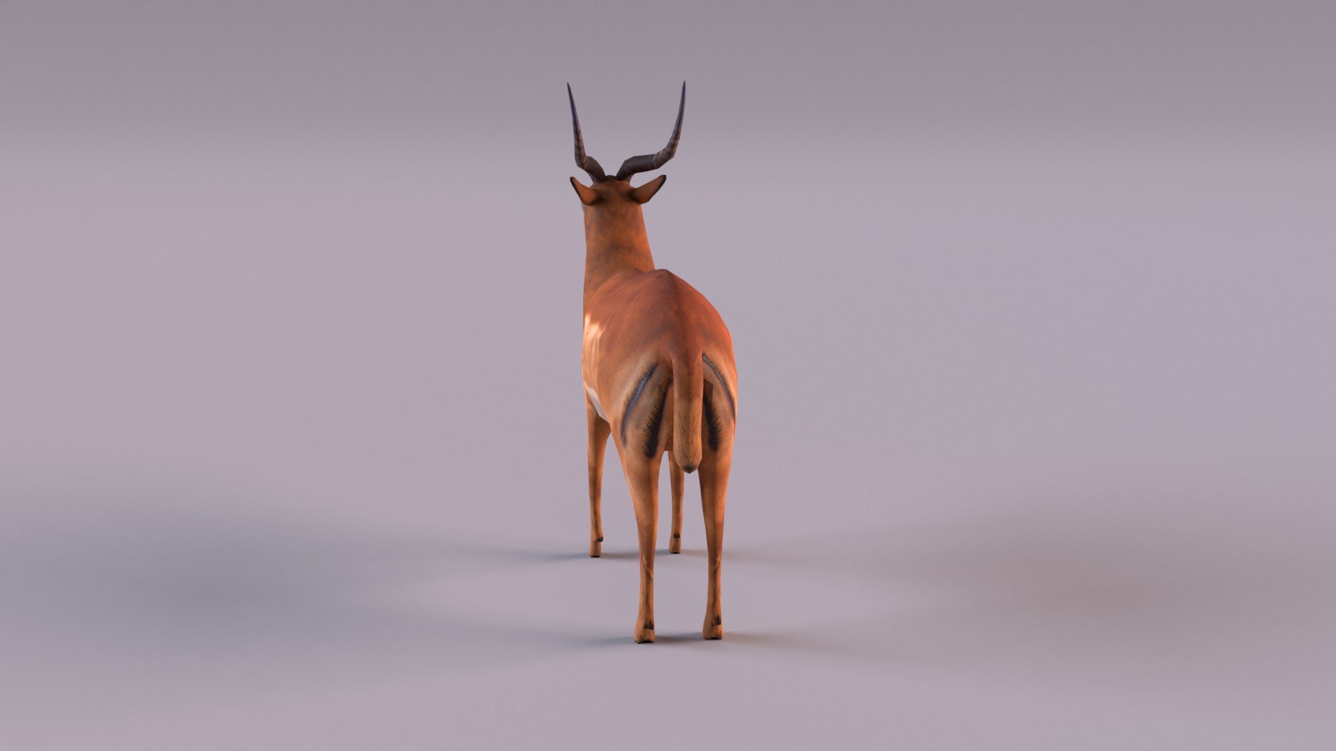 Antelope model https://p.turbosquid.com/ts-thumb/bE/rXuoWJ/yX/antelope_0008/jpg/1627232172/1920x1080/fit_q87/d893ec9378bfaaf0c7e700b28984950962d0fb4c/antelope_0008.jpg
