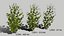 Ivy Pack para jogos