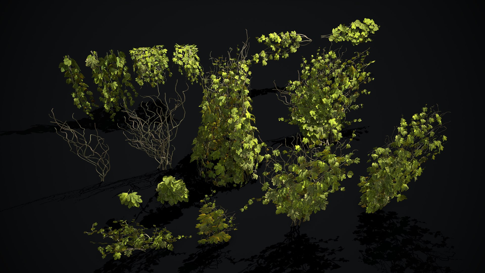3D ivy plants games https://p.turbosquid.com/ts-thumb/bF/3p1e3X/Q0xNP56Q/3/png/1593941478/1920x1080/fit_q87/72a486129c49a75309b2f780e781763313aa2839/3.jpg