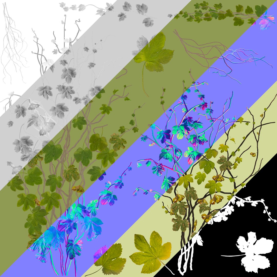 3D ivy plants games https://p.turbosquid.com/ts-thumb/bF/3p1e3X/gp7zOaAs/5/png/1593941596/1920x1080/fit_q87/c366af6c3a91b40b5c27221532947a038576ecbf/5.jpg