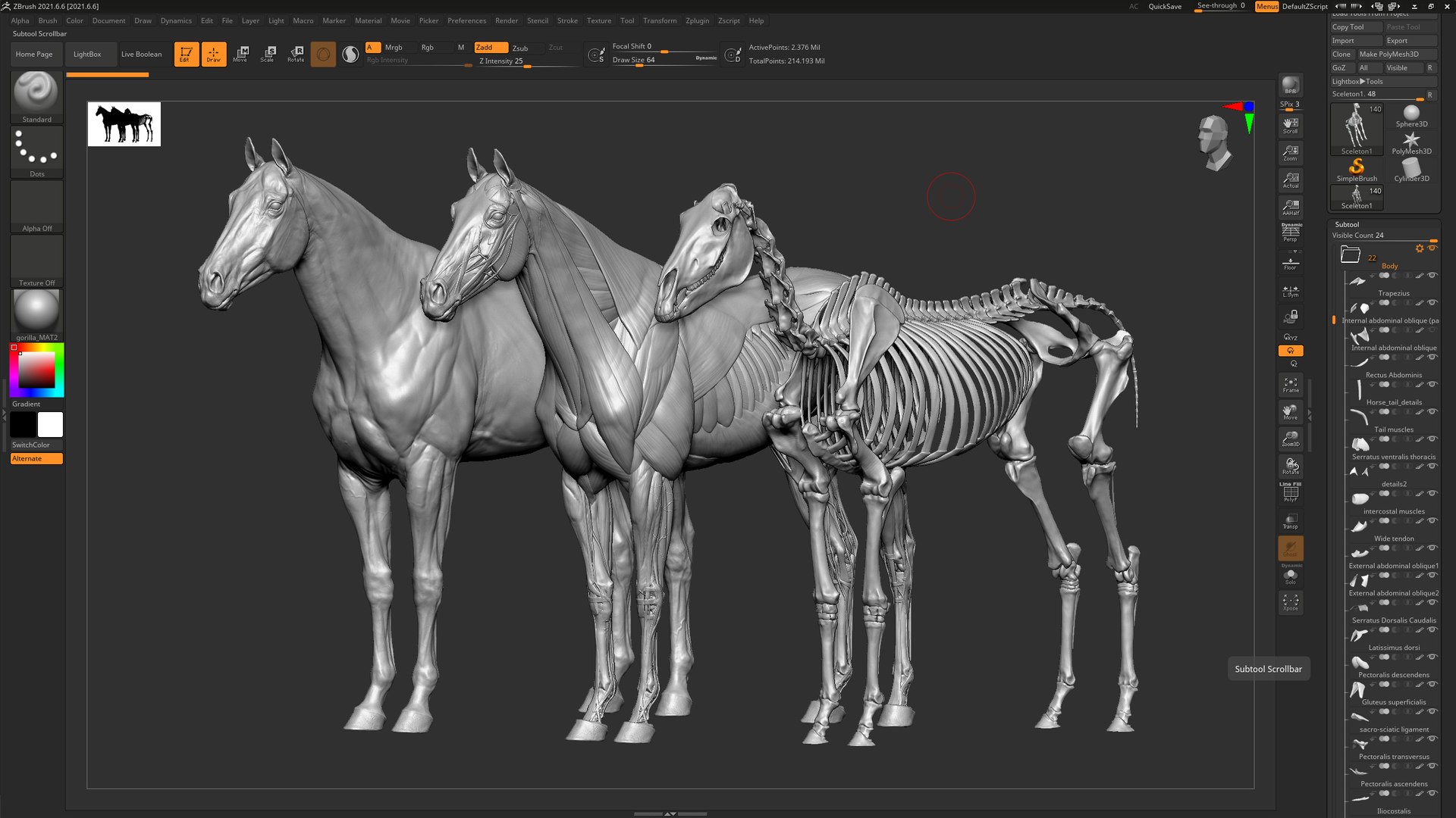 horse anatomy eqine ecorche 3D model https://p.turbosquid.com/ts-thumb/bF/5yj5ZZ/2Z/w1/jpg/1658922936/1920x1080/fit_q87/544f2831c7b4eefb970603ca68285fa519821b6e/w1.jpg
