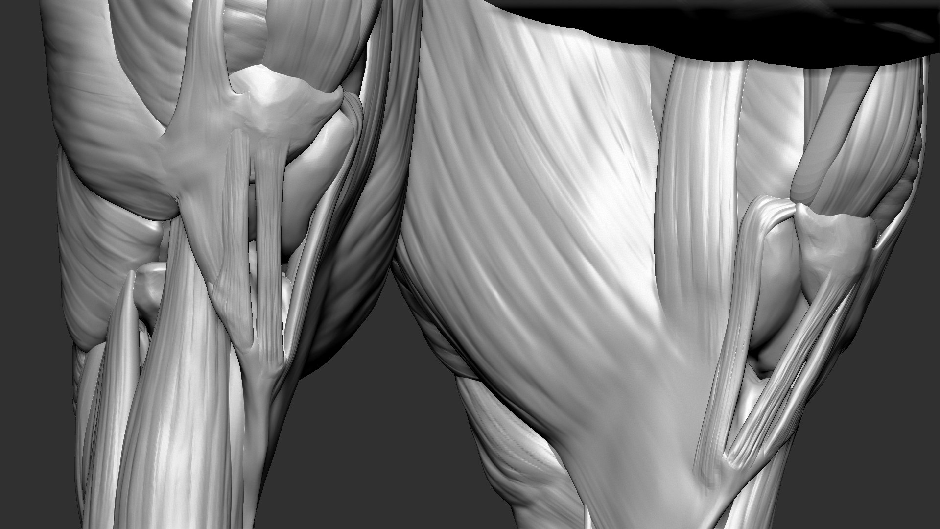 horse anatomy eqine ecorche 3D model https://p.turbosquid.com/ts-thumb/bF/5yj5ZZ/5jDfRtgI/7/jpg/1596621342/1920x1080/fit_q87/d75a073a3e5f7d1252ed0751057b416a8468f53c/7.jpg