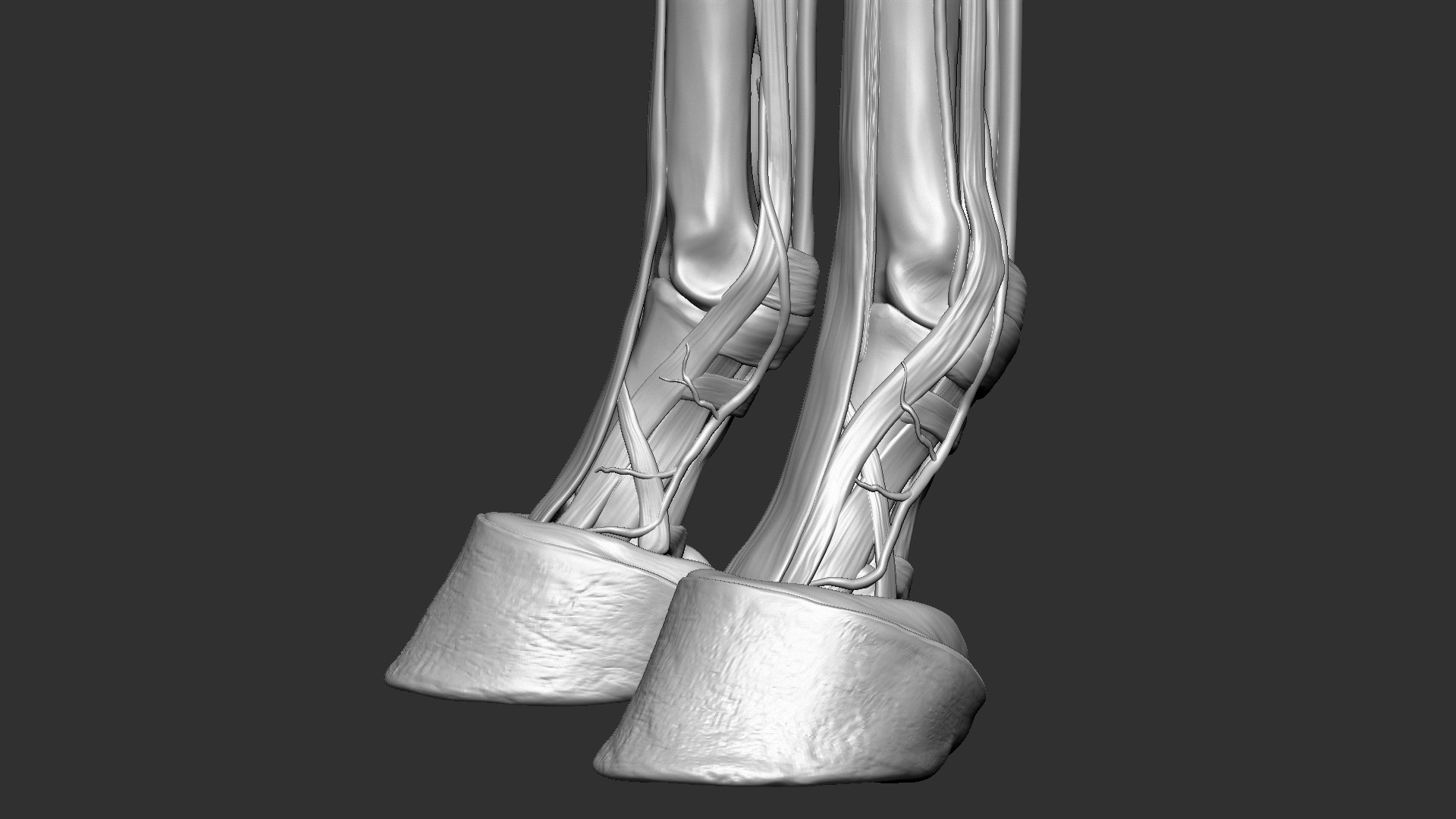 horse anatomy eqine ecorche 3D model https://p.turbosquid.com/ts-thumb/bF/5yj5ZZ/9loX5cMR/11/jpg/1596621343/1920x1080/fit_q87/e26841116b609ac73a850ff37ae12a8051703dc6/11.jpg
