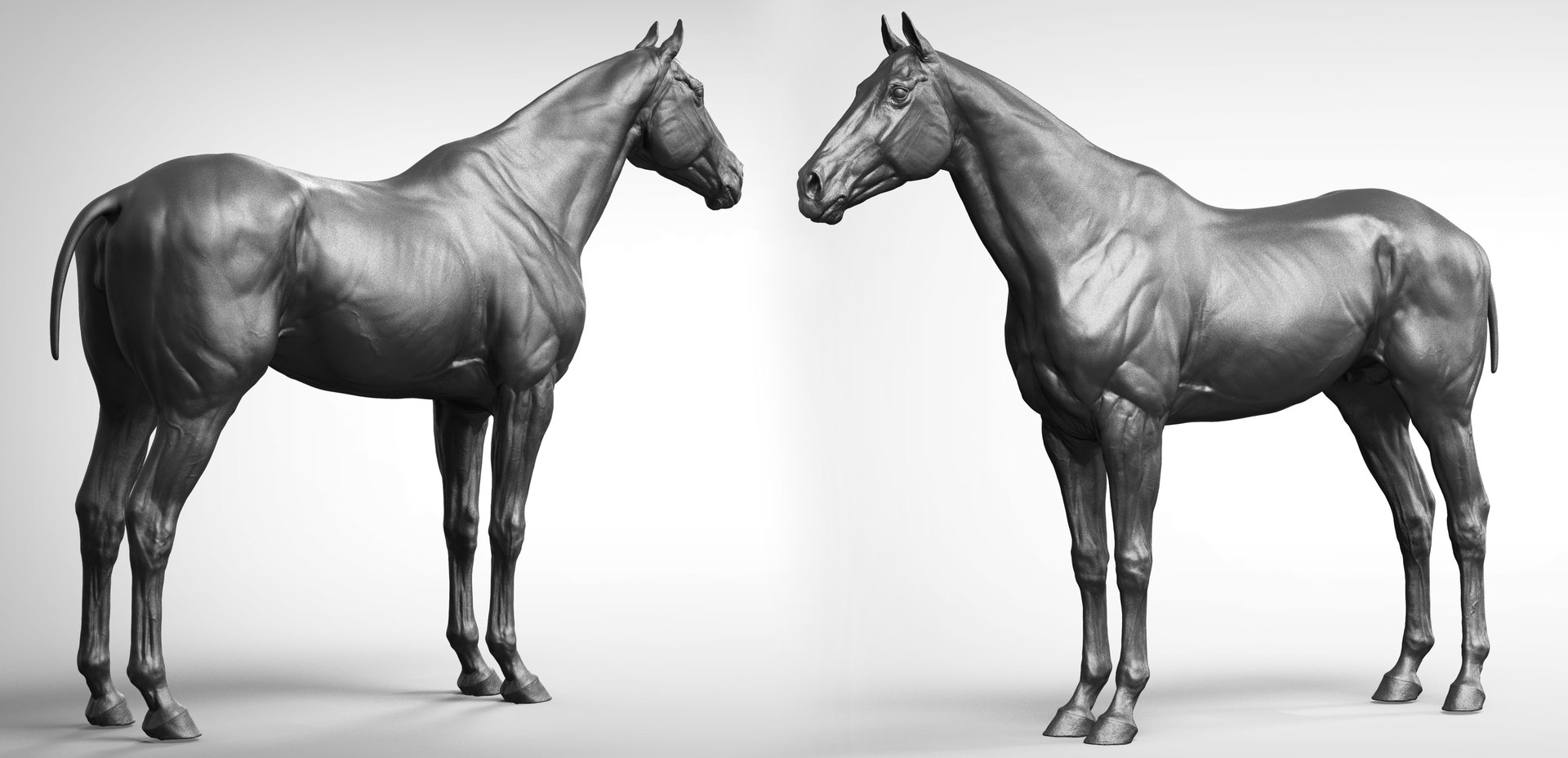 horse anatomy eqine ecorche 3D model https://p.turbosquid.com/ts-thumb/bF/5yj5ZZ/FoN2fkbT/dmitriiprosovavaaat/jpg/1596620966/1920x1080/fit_q87/7208f7572fbd76b34cc489326fedbe0383157b80/dmitriiprosovavaaat.jpg
