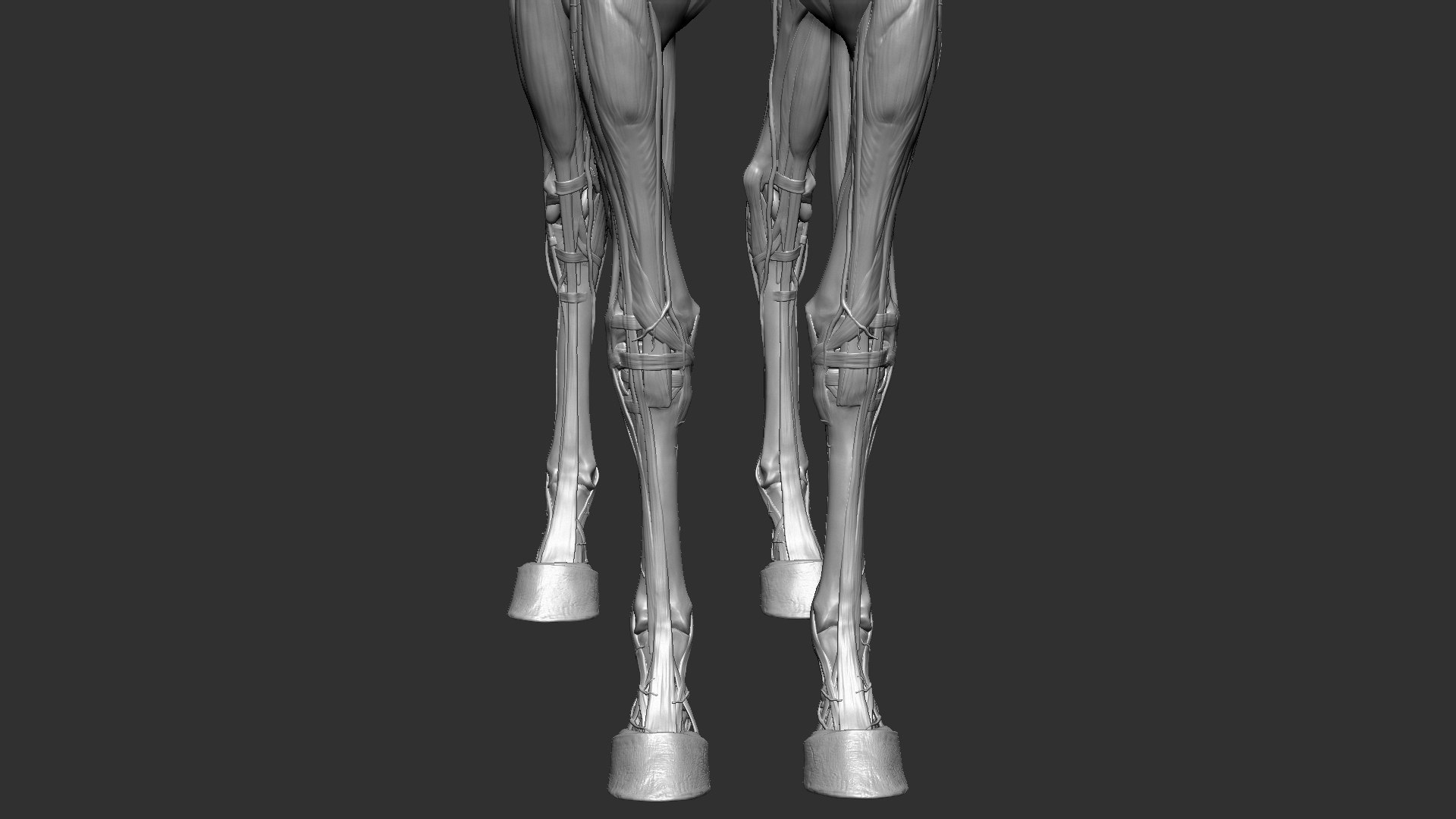 horse anatomy eqine ecorche 3D model https://p.turbosquid.com/ts-thumb/bF/5yj5ZZ/NlS7JNxZ/3/jpg/1596621279/1920x1080/fit_q87/552e7d478bb79b32705420c7279923dc4430edbd/3.jpg