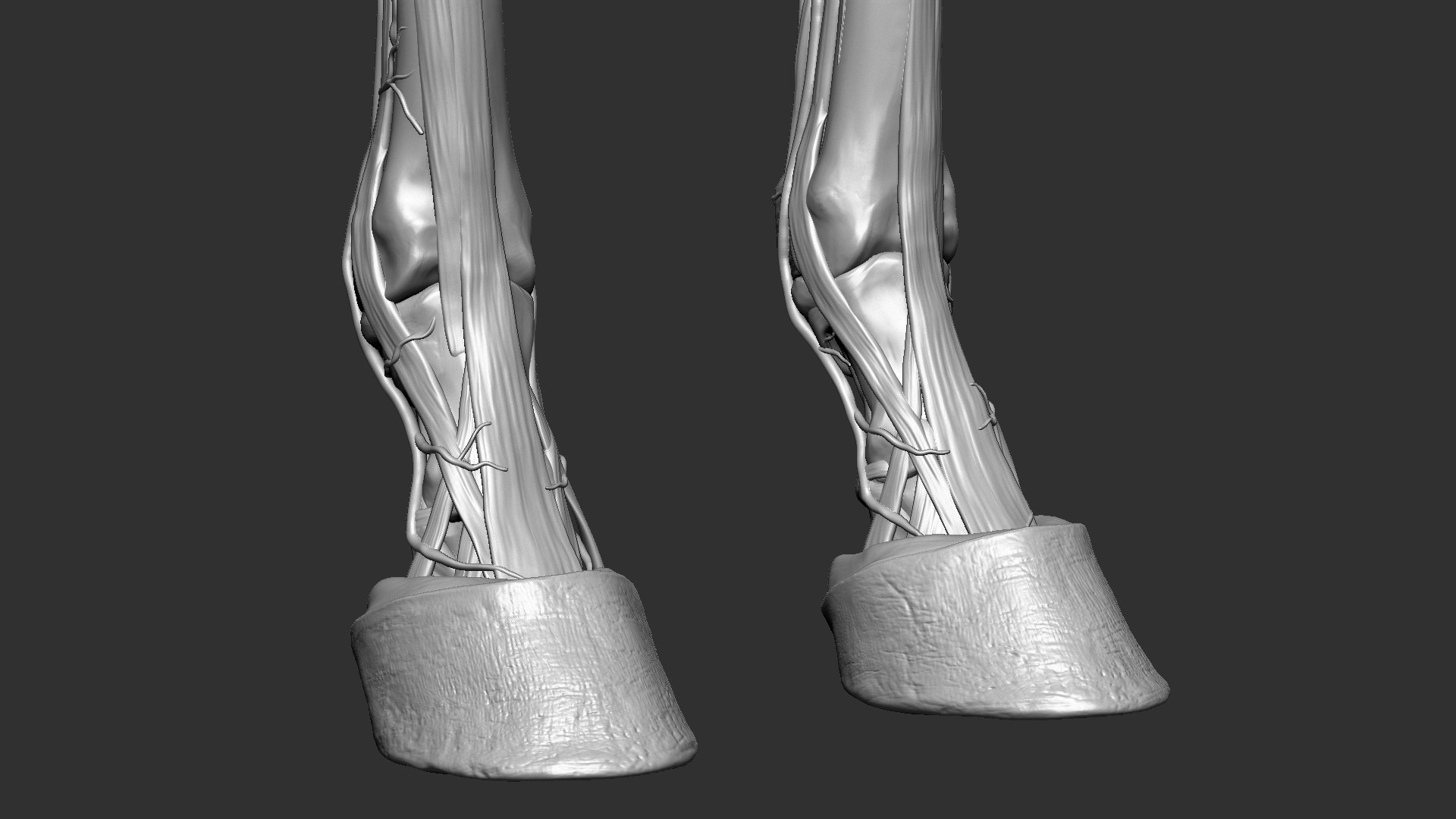 horse anatomy eqine ecorche 3D model https://p.turbosquid.com/ts-thumb/bF/5yj5ZZ/Qgy8BEDW/11/jpg/1596621280/1920x1080/fit_q87/f3cab00bf43ccccd91bd07ae72122df7342dba02/11.jpg