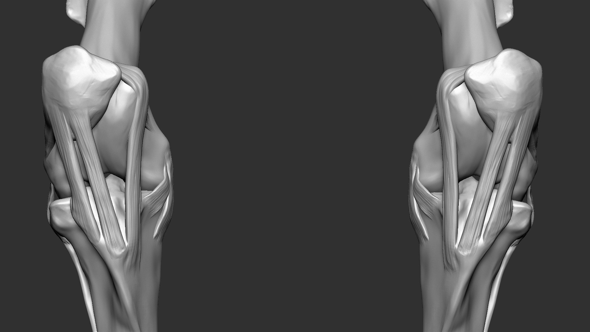 horse anatomy eqine ecorche 3D model https://p.turbosquid.com/ts-thumb/bF/5yj5ZZ/SJzXoeiC/12/jpg/1596621343/1920x1080/fit_q87/96a14f4973264b49e58cbbf81eb00ca3270dbf0b/12.jpg