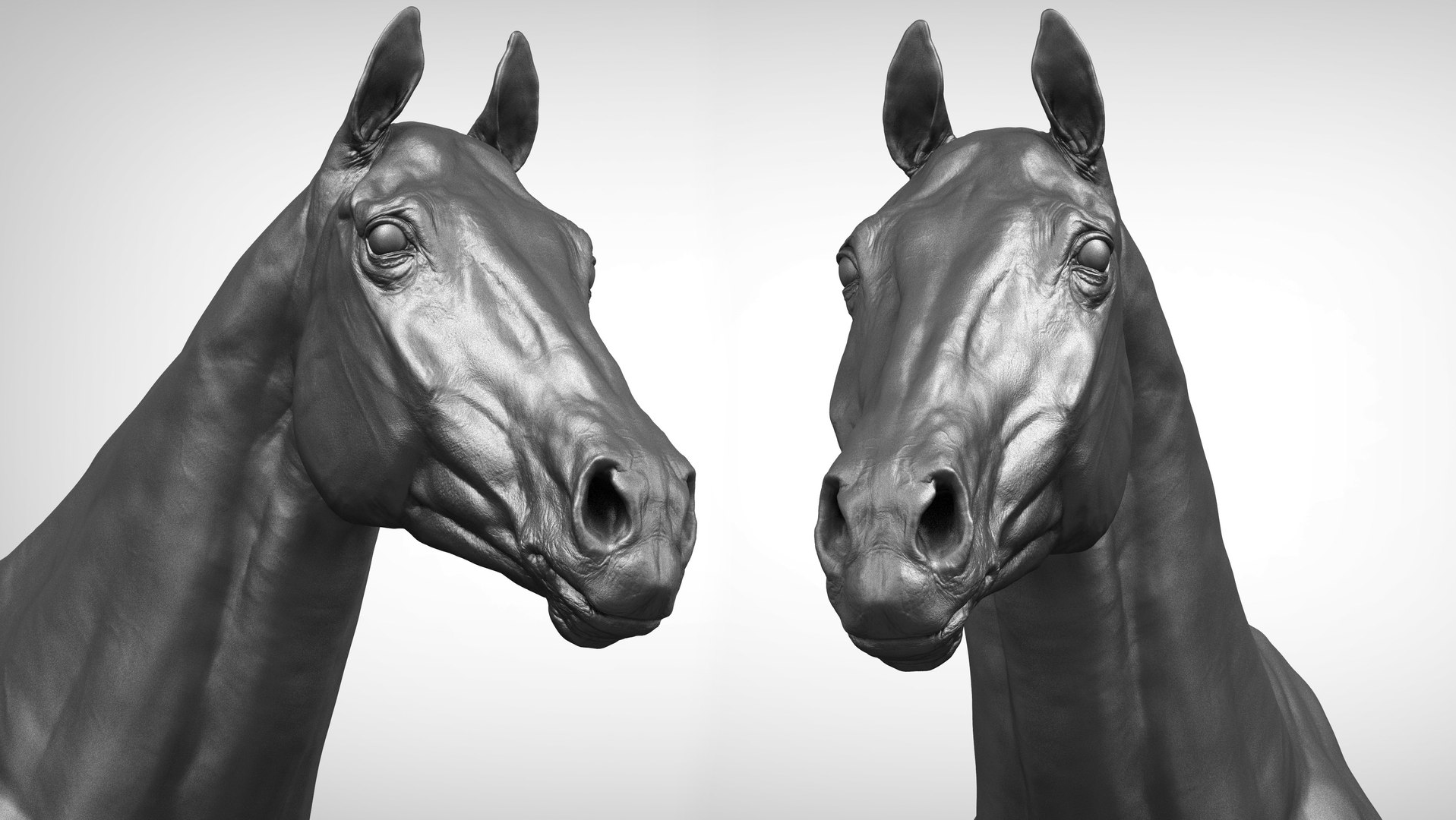horse anatomy eqine ecorche 3D model https://p.turbosquid.com/ts-thumb/bF/5yj5ZZ/YVYSDuZS/a_models2sdf/jpg/1596621093/1920x1080/fit_q87/4a6a9fa09800f5bab90d07e97b2dd1f80884272c/a_models2sdf.jpg