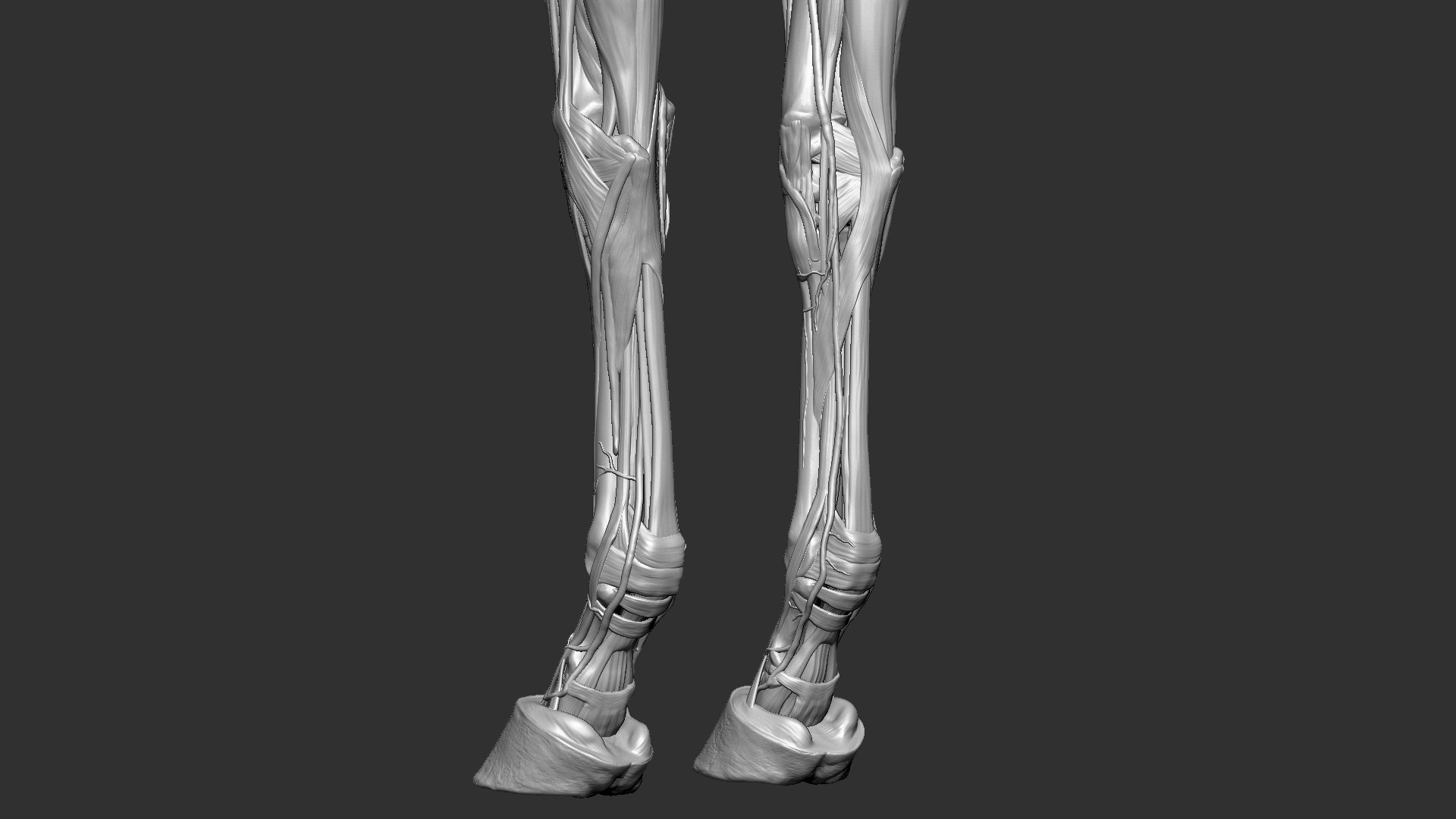 horse anatomy eqine ecorche 3D model https://p.turbosquid.com/ts-thumb/bF/5yj5ZZ/fxRDZntT/6/jpg/1596621279/1920x1080/fit_q87/ff5c507022d331808115f1ba9ed9fee5ca2acb5b/6.jpg