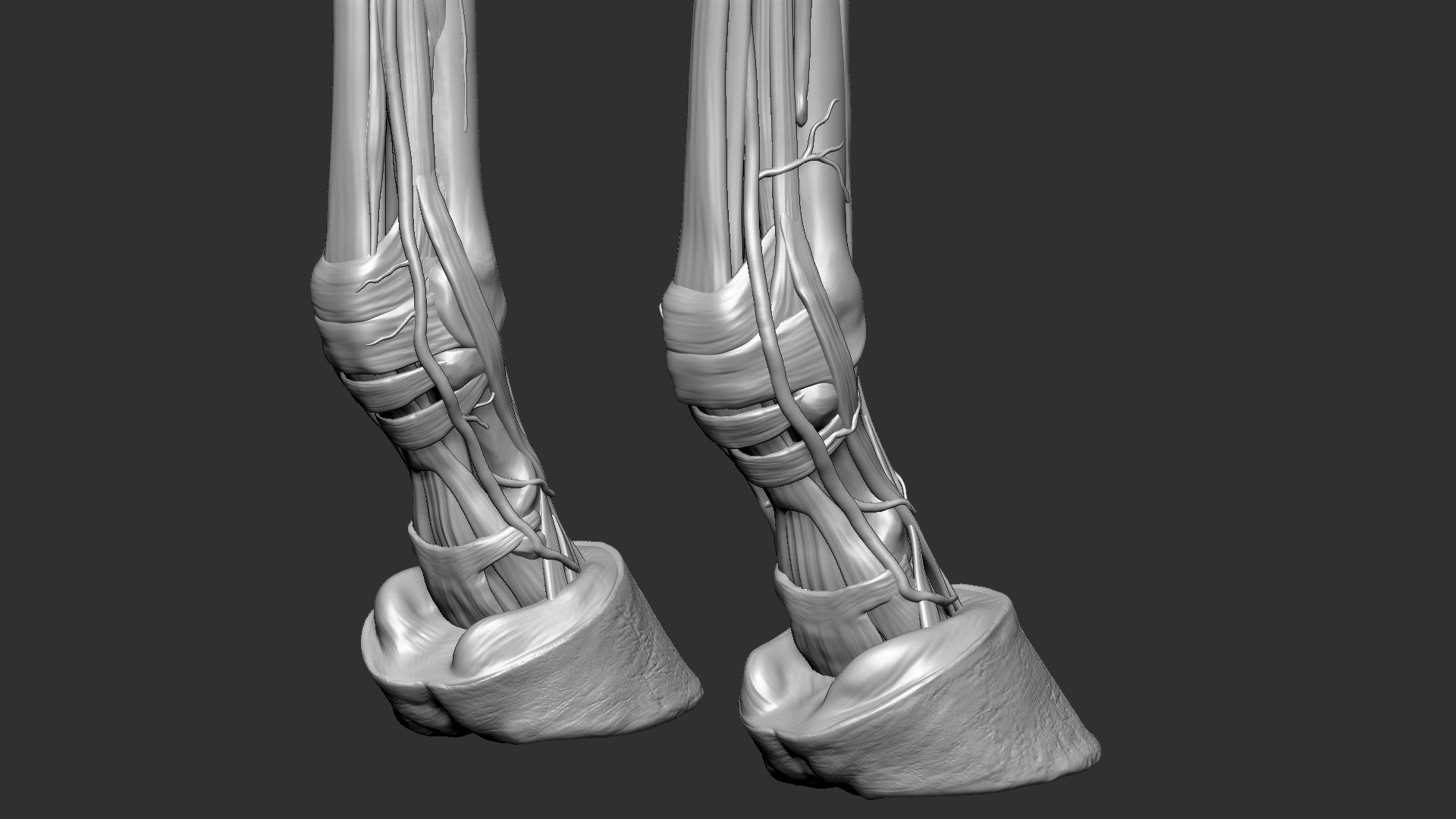 horse anatomy eqine ecorche 3D model https://p.turbosquid.com/ts-thumb/bF/5yj5ZZ/mnjS10vl/12/jpg/1596621280/1920x1080/fit_q87/1a1ea7609cf9f53705c50c1afe5ae07483e64a6a/12.jpg