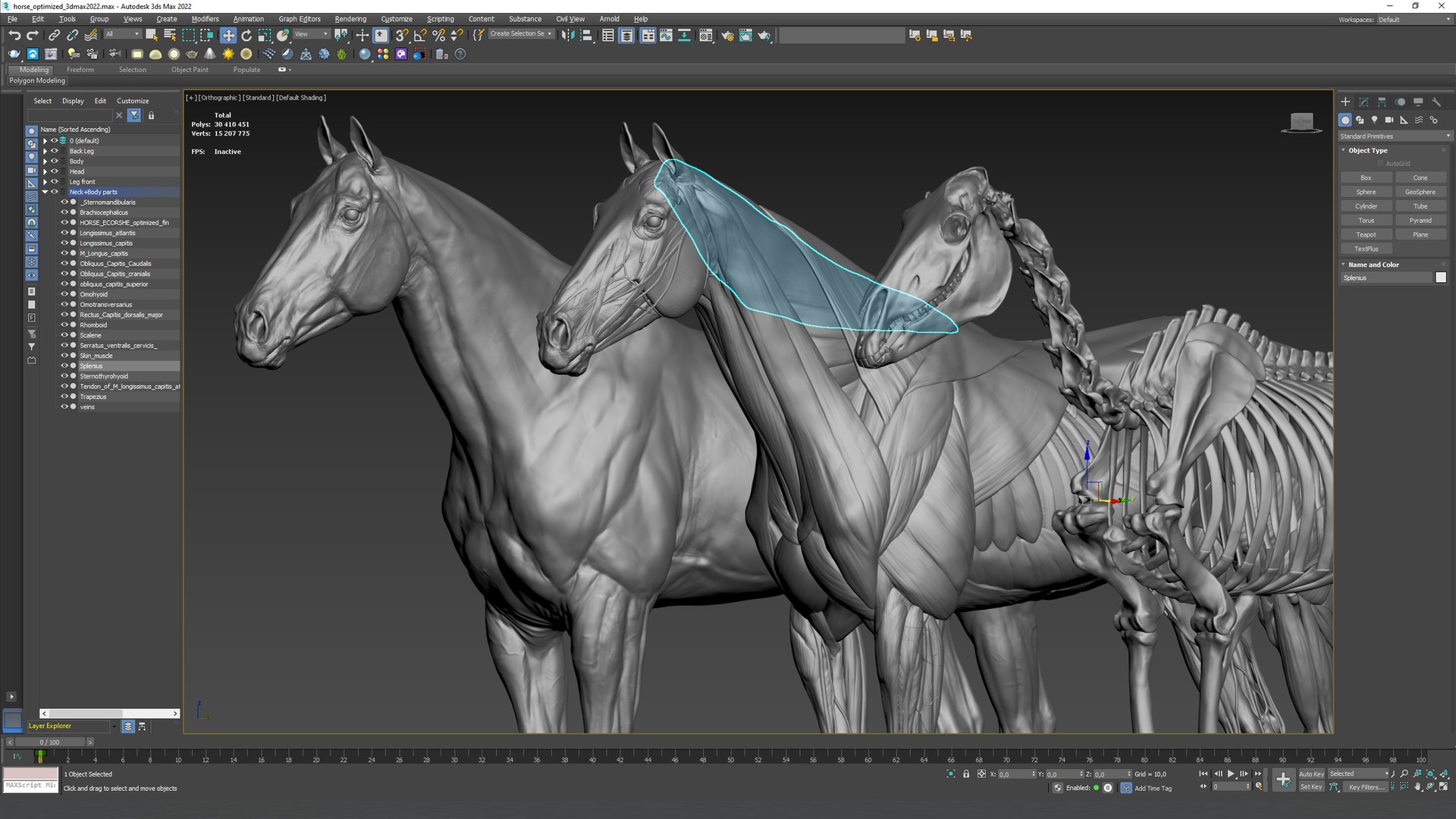 horse anatomy eqine ecorche 3D model https://p.turbosquid.com/ts-thumb/bF/5yj5ZZ/ox/w3/jpg/1658922936/1920x1080/fit_q87/4d9f4e144d7e9849e54cf8cf5fc83f133b04f7b8/w3.jpg