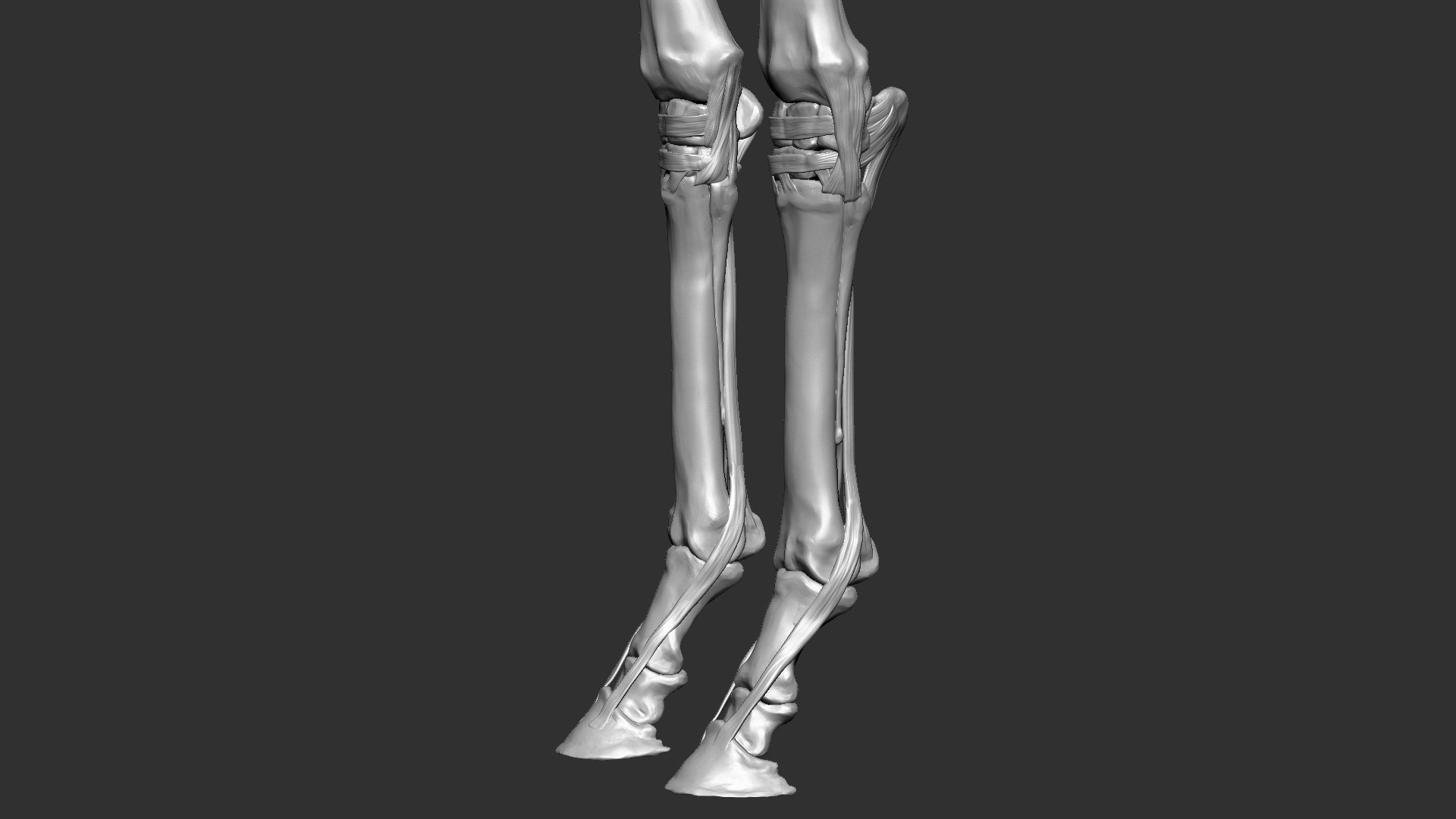 horse anatomy eqine ecorche 3D model https://p.turbosquid.com/ts-thumb/bF/5yj5ZZ/u66d5VDj/18/jpg/1596621280/1920x1080/fit_q87/29d1db1b70cd0be2956c9c6f0b4f93a05736fb5b/18.jpg