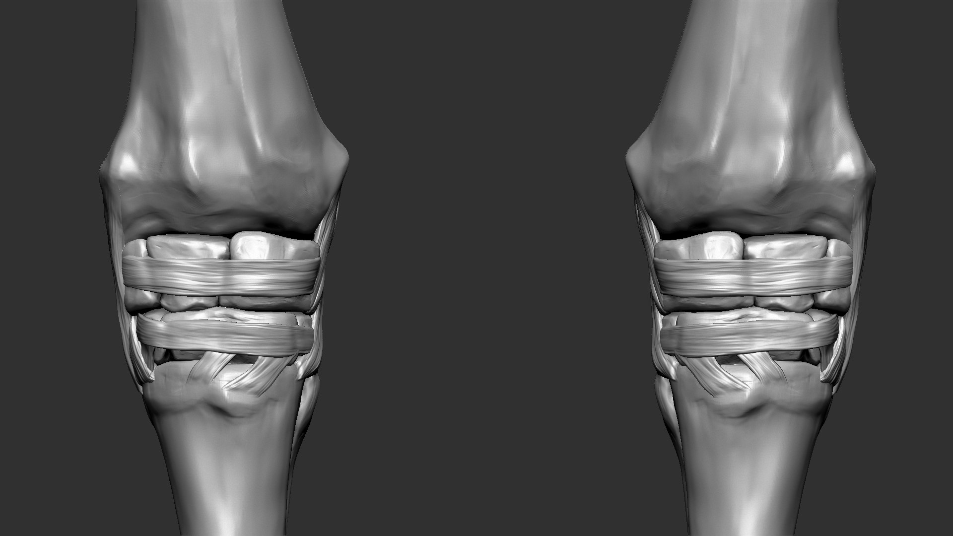 horse anatomy eqine ecorche 3D model https://p.turbosquid.com/ts-thumb/bF/5yj5ZZ/voF5fEkR/17/jpg/1596621280/1920x1080/fit_q87/8d4cbb77c956d81fbcf93002166ef885ffa85e58/17.jpg
