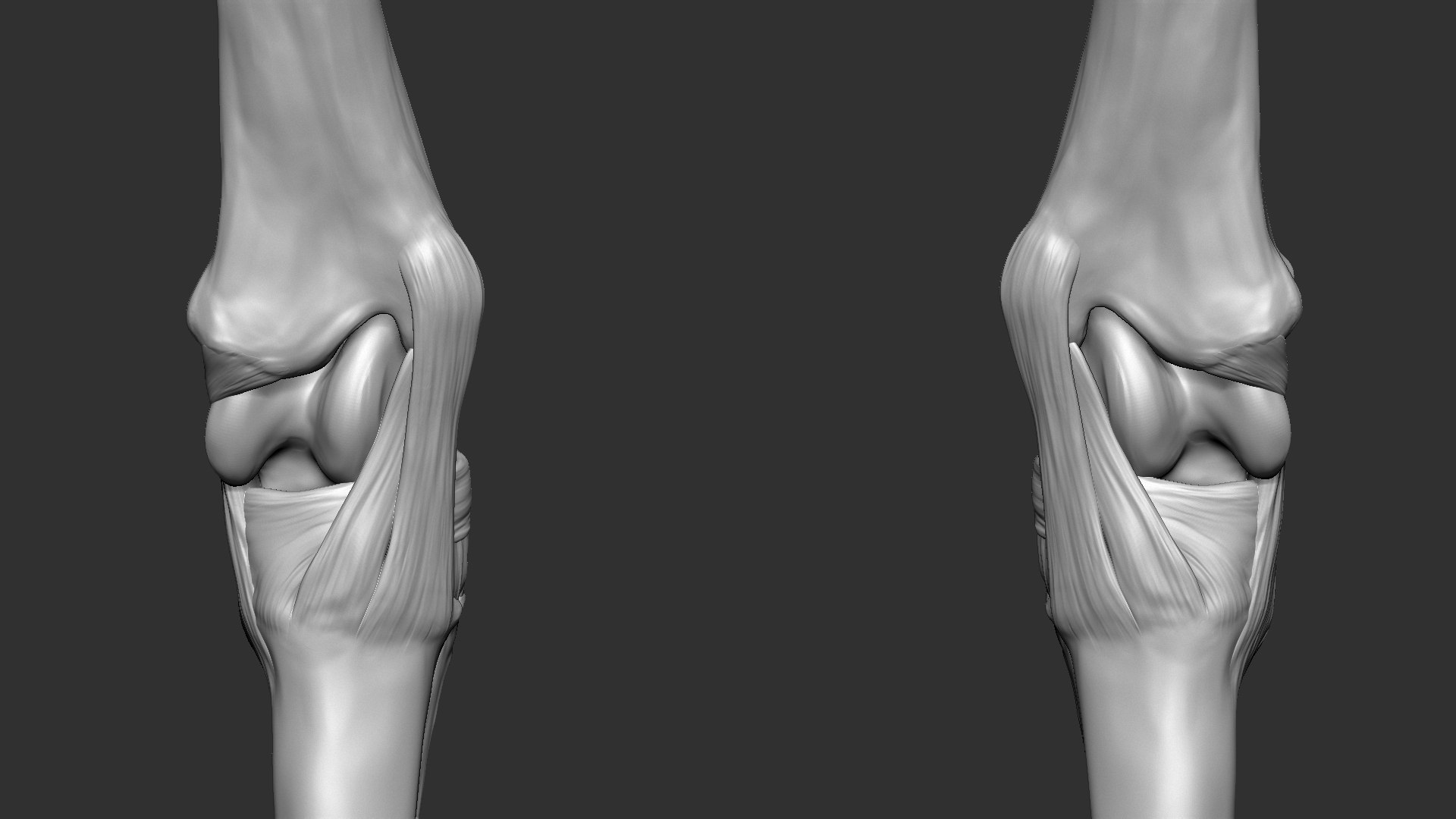 horse anatomy eqine ecorche 3D model https://p.turbosquid.com/ts-thumb/bF/5yj5ZZ/yytS1vM3/17/jpg/1596621343/1920x1080/fit_q87/6ed1ffb59a57f54cdbbd6a9e3515c03c729f18f7/17.jpg