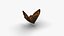 Low polygon butterfly - Erebia ligea