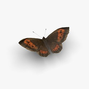 3D Low polygon butterfly - Erebia ligea model