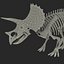 3d model triceratops skeleton