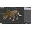 3d model triceratops skeleton