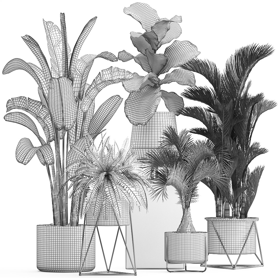 3D plants exotic https://p.turbosquid.com/ts-thumb/bF/MJ1tpu/4Z7xbbvP/plantpot18021909/jpg/1550586055/1920x1080/fit_q87/3e4ec258118e64edea245338c09f289c8d2de768/plantpot18021909.jpg