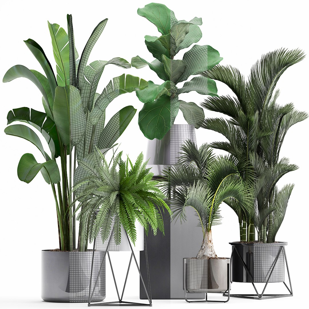 3D Plants Exotic - TurboSquid 1379711