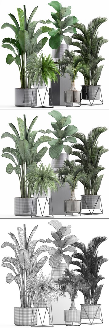 3D plants exotic https://p.turbosquid.com/ts-thumb/bF/MJ1tpu/7hQ24jvi/plantpot18021912/jpg/1550586055/1920x1080/fit_q87/2b4c28c3064f704f4069507775e9b740cd8980c6/plantpot18021912.jpg