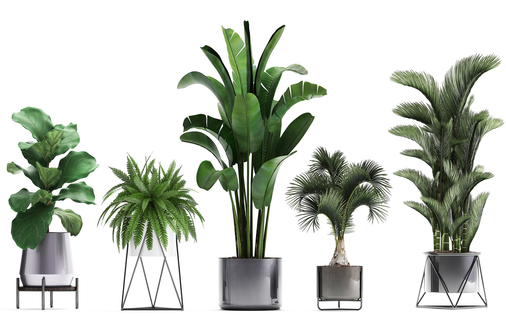 3D Plants Exotic - TurboSquid 1379711