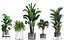 3D plants exotic