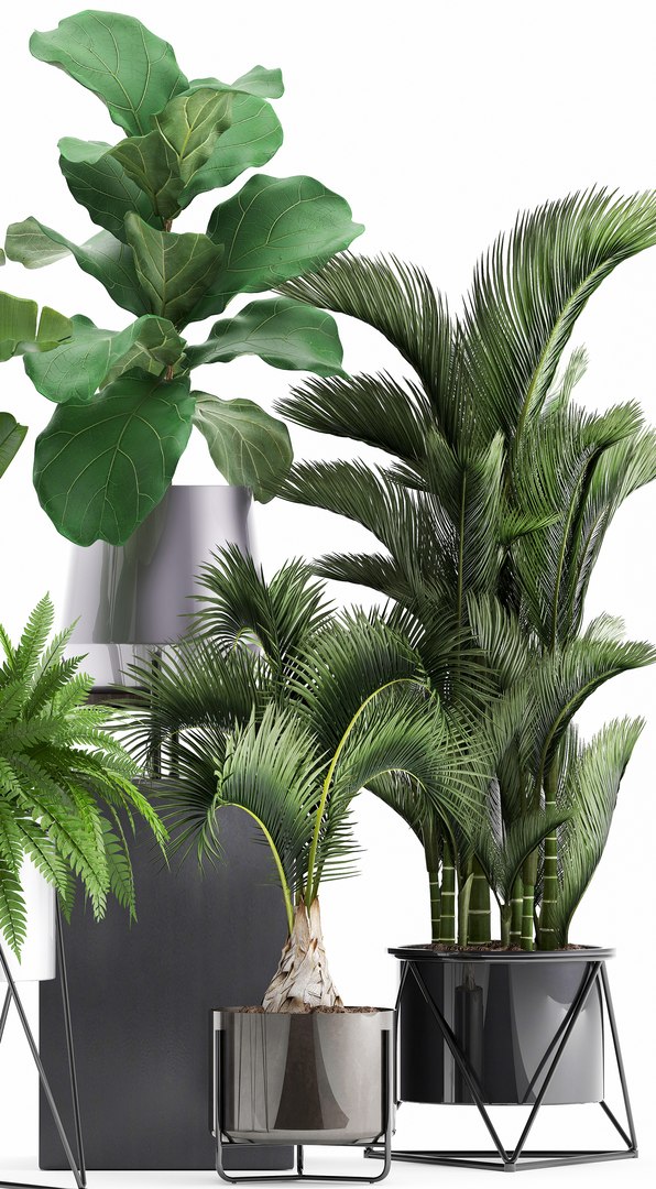 3D Plants Exotic - TurboSquid 1379711