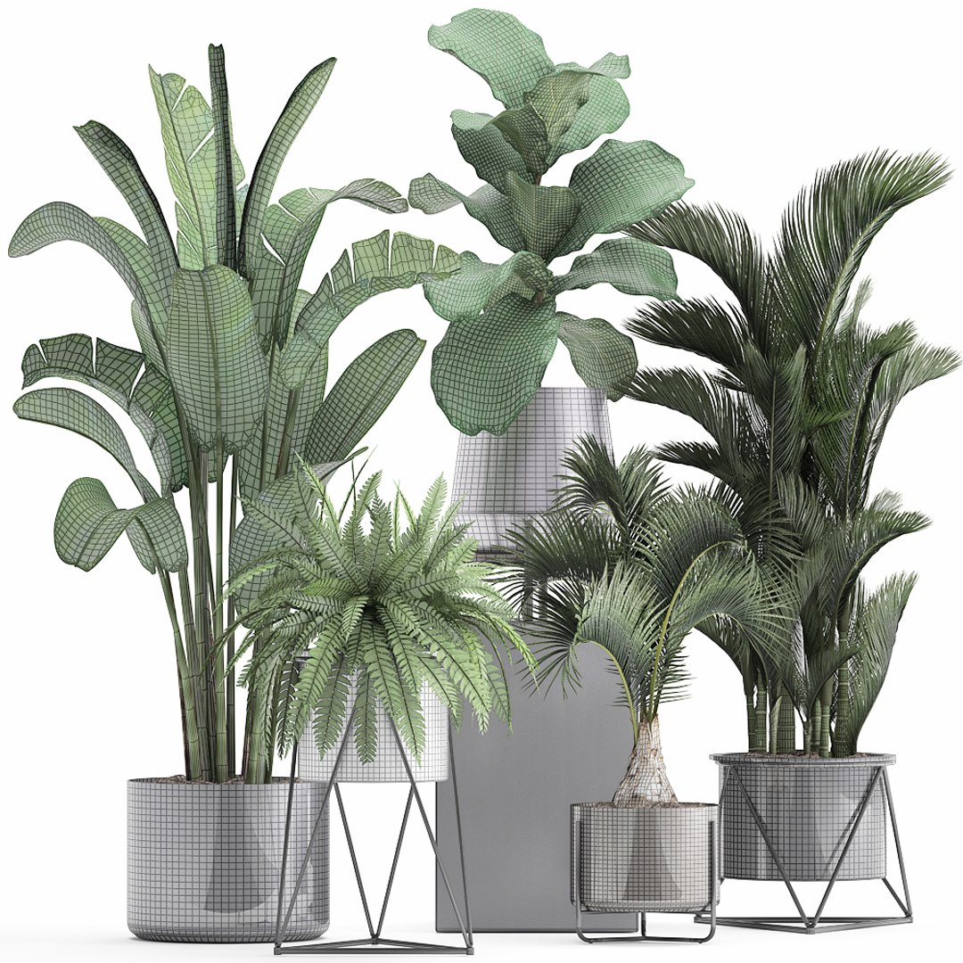 3D Plants Exotic - TurboSquid 1379711