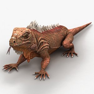 3d model iguana lizard