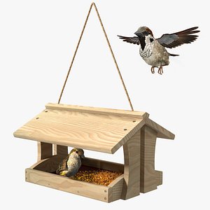 Bird Feeder with Sparrows Collection 3D