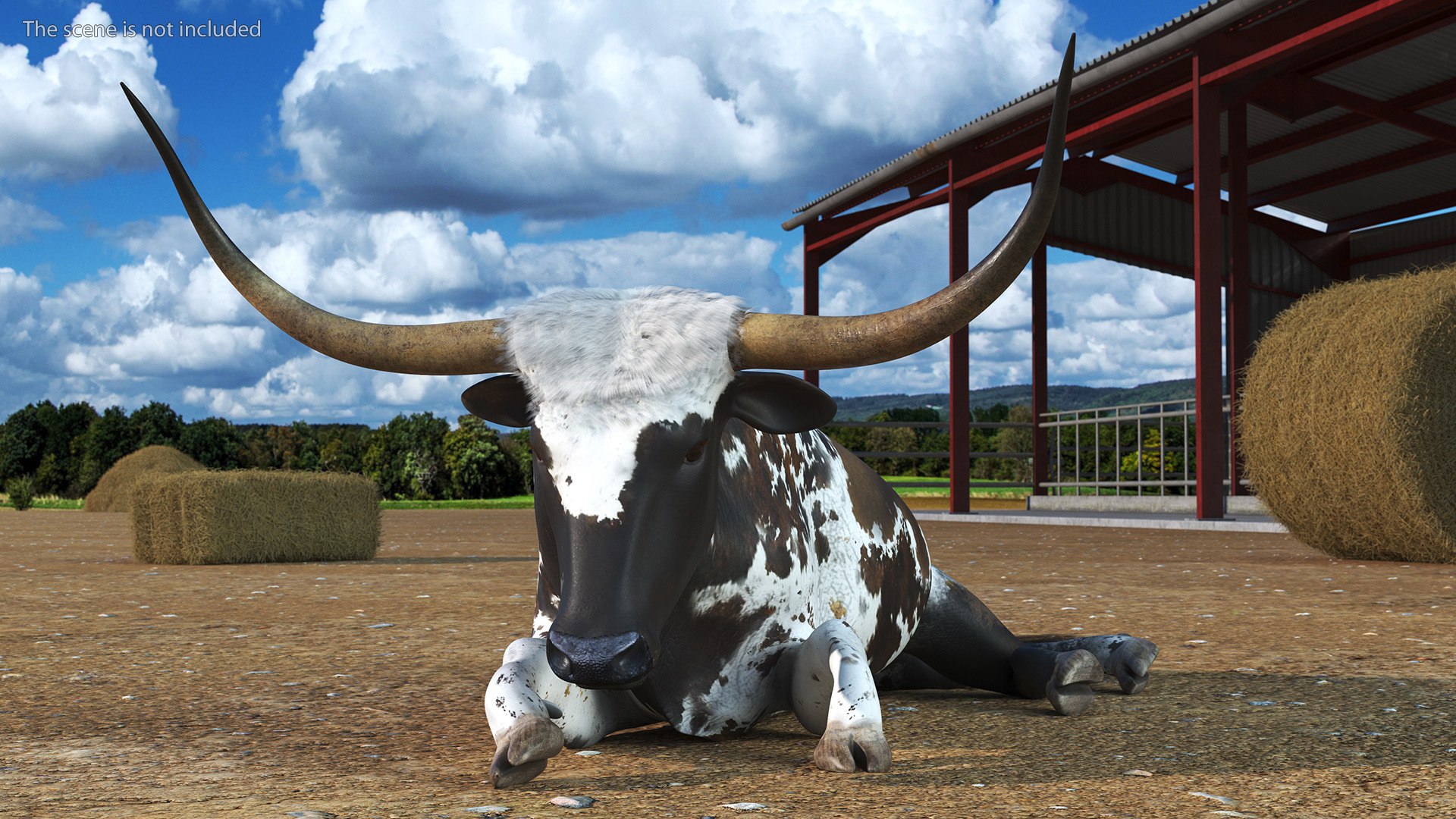 Lying Longhorn Bull Mottled Brown 3D model https://p.turbosquid.com/ts-thumb/bF/Z1Q2y0/8F/lyinglonghornbullmottledbrown3dsmodel004/jpg/1706175468/1920x1080/fit_q87/d570d457f842626d7ea3fd393ea9fe007bdf77bf/lyinglonghornbullmottledbrown3dsmodel004.jpg