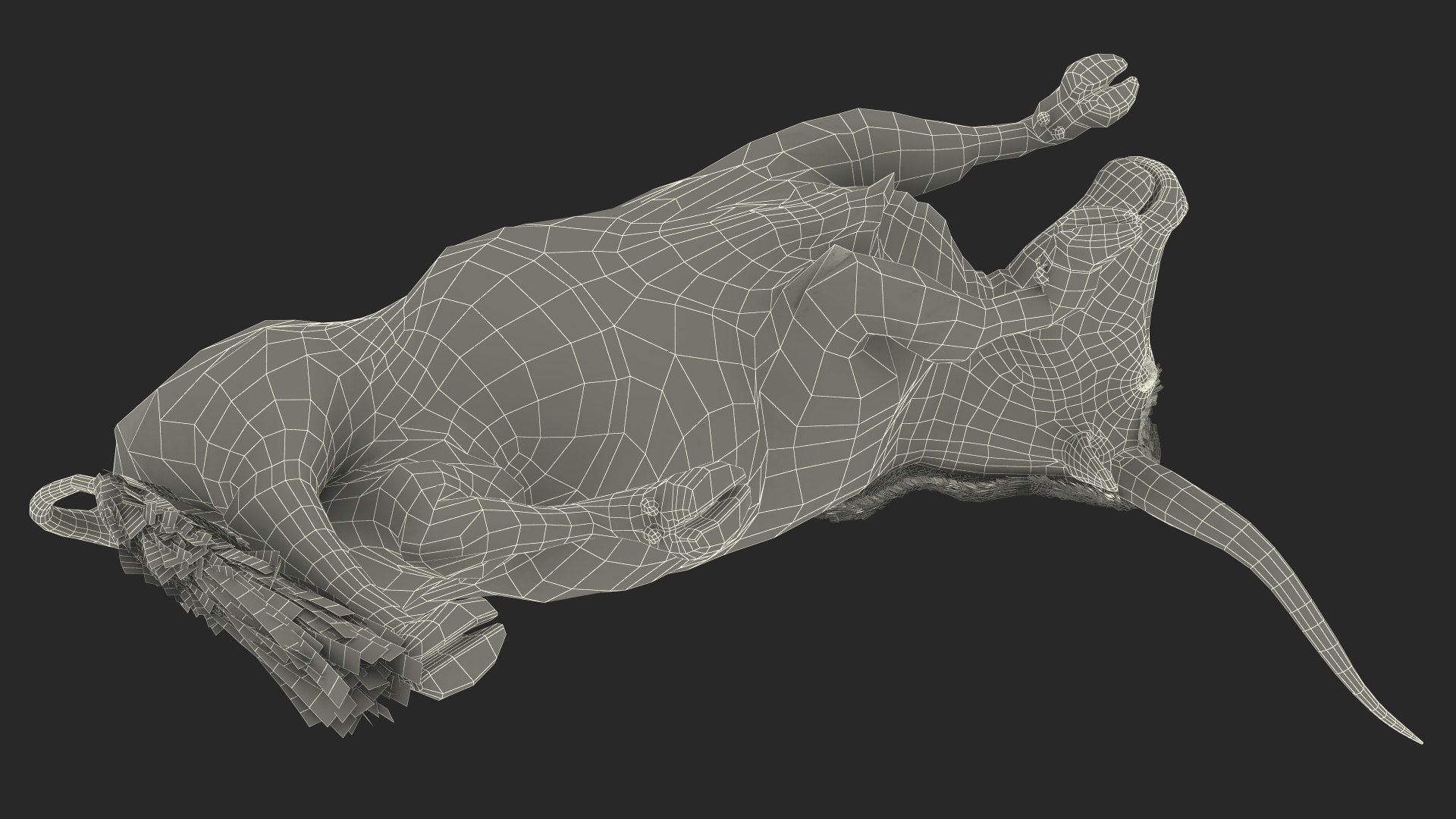 Lying Longhorn Bull Mottled Brown 3D model https://p.turbosquid.com/ts-thumb/bF/Z1Q2y0/AP/lyinglonghornbullmottledbrown3dsmodel031/jpg/1706175595/1920x1080/fit_q87/f1e2186f4b44af255e06692d7059d348c0fc0511/lyinglonghornbullmottledbrown3dsmodel031.jpg