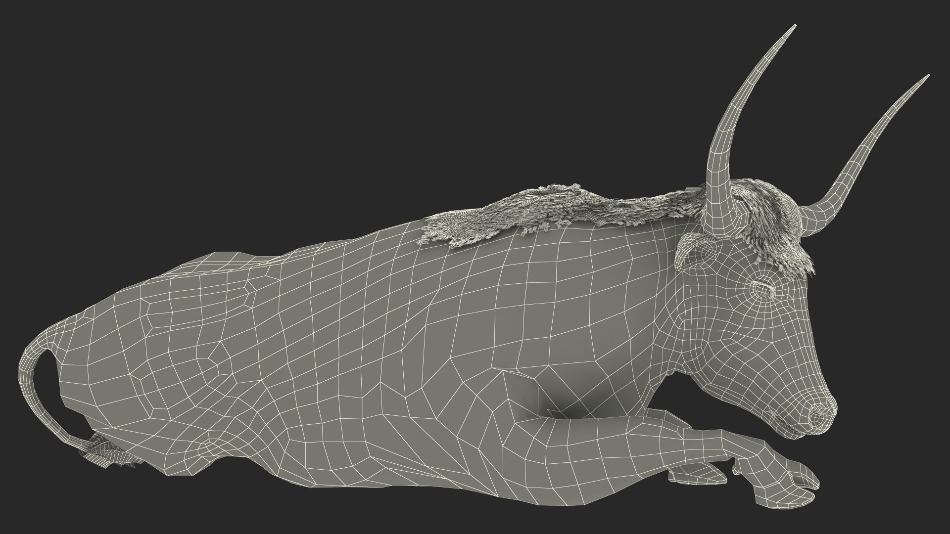 Lying Longhorn Bull Mottled Brown 3D model https://p.turbosquid.com/ts-thumb/bF/Z1Q2y0/SR/lyinglonghornbullmottledbrown3dsmodel028/jpg/1706175581/1920x1080/fit_q87/2249a079c367e03a3fc3b675d36c6551c9fa81a1/lyinglonghornbullmottledbrown3dsmodel028.jpg