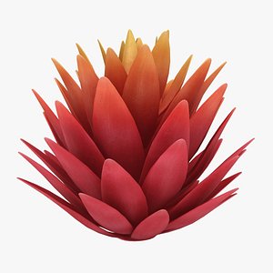 3D model red agave