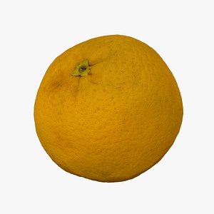 Bahia Orange - Extreme Definition 3D Scanned