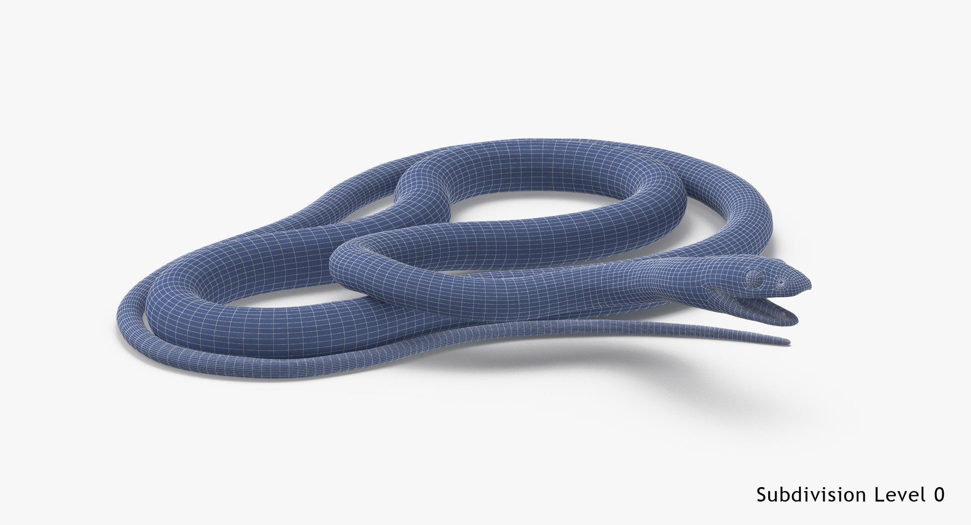 3d Model Green Snake 03
