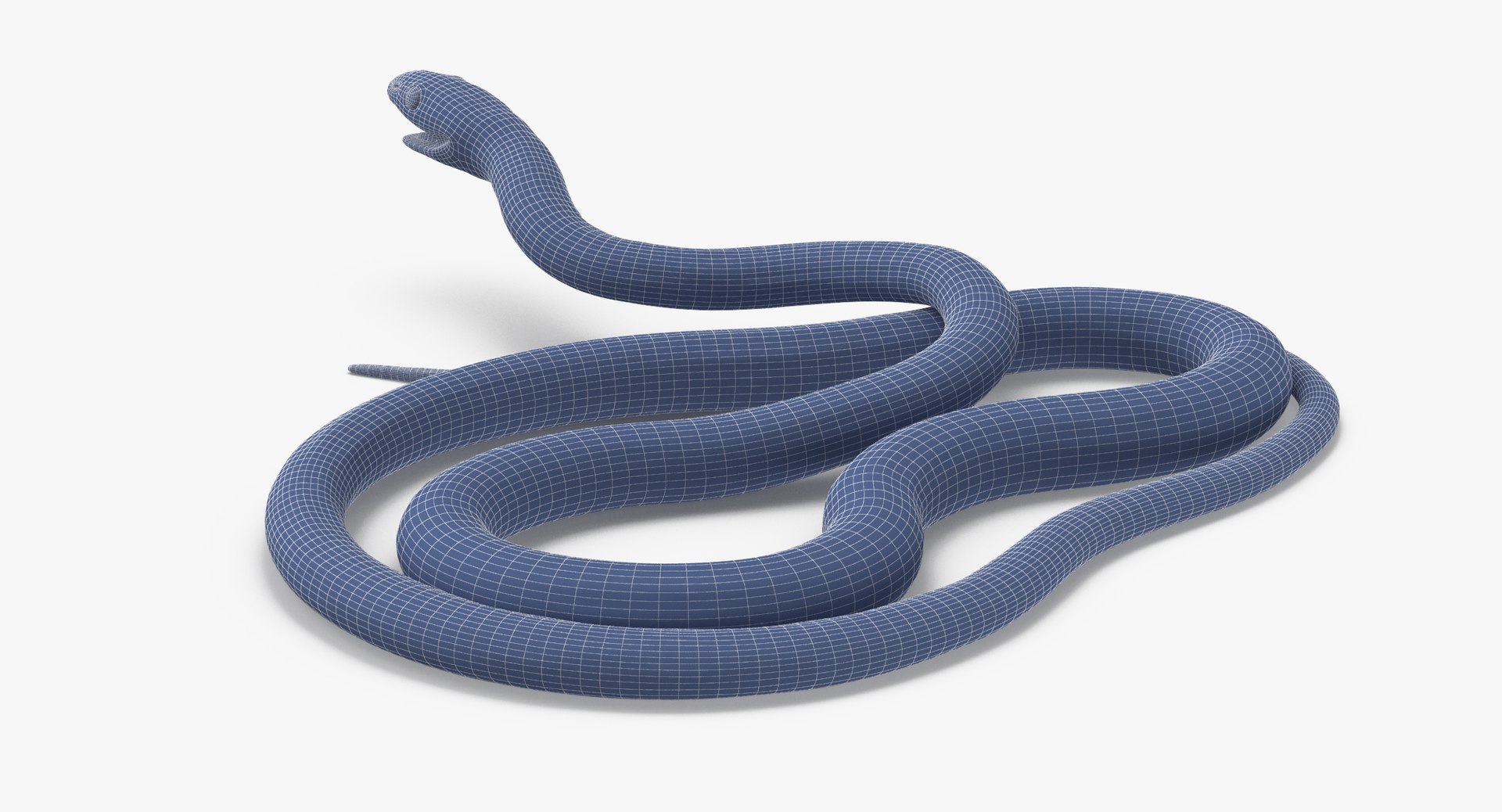 3d Model Green Snake 03