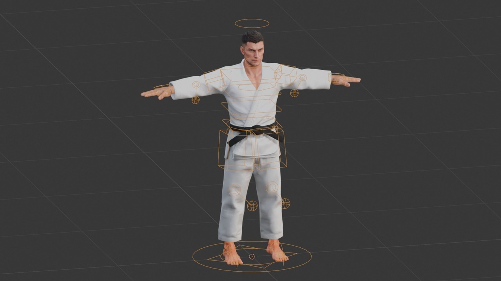 3D Judo Karate Player - Rigged https://p.turbosquid.com/ts-thumb/bF/lV0PkD/bn/17/jpg/1786972588/1920x1080/fit_q87/5befe9aef97fb5c7fa2bdfc4cece5bb2c856e43c/17.jpg