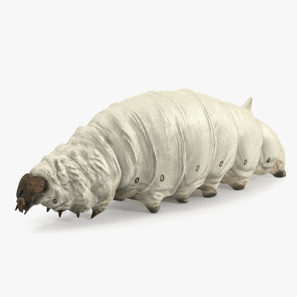 Silkworm White Rigged for Cinema 4D 3D